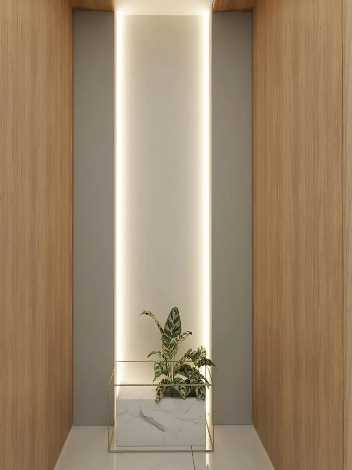 A timber-lined alcove with a concealed cove light above a single plant.